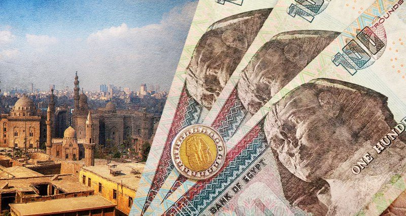 للتبرعات لتمويل استراتيجية الكلاب الضالة.. الزراعة تطلق حساب بنكي