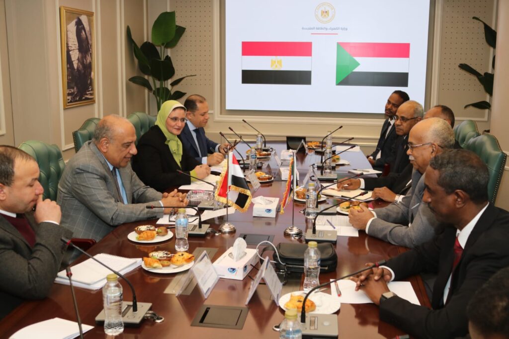 مشروع خط الربط الكهربائي المصرى السوداني| الكهرباء تتابع استكمال المرحلة الثانية «توشكى2 / وادى حلفا»