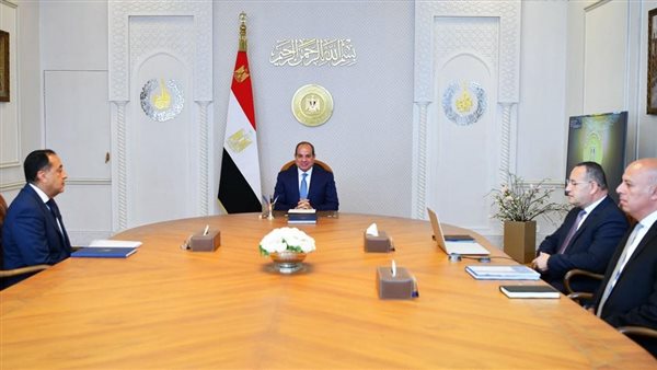 تعزيز تنافسية الجامعات المصرية دوليا ودعم البحث العلمي| توجيهات جديدة من الرئيس السيسي