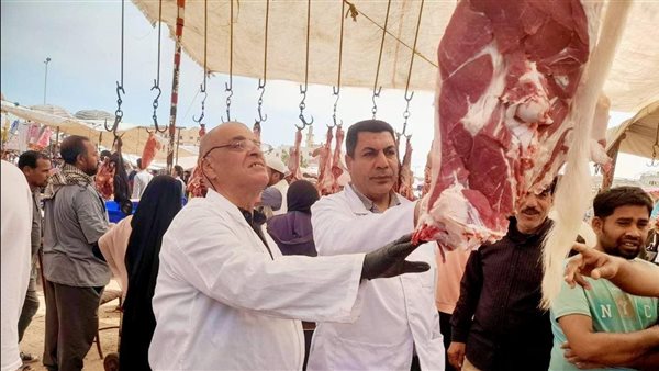 ضبط أطنان من اللحوم غير الصالحة.. والزراعة توجه نصائح للمواطنين